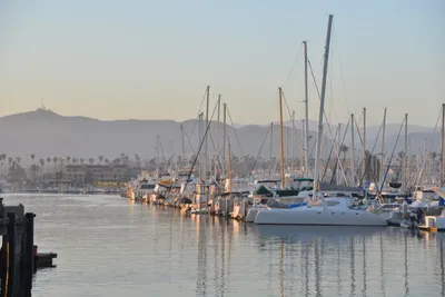 DSC_7302 (Large).JPG